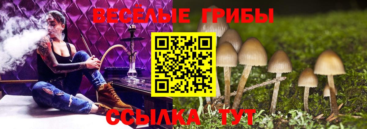 Назрань  Псилоцибиновые грибы MAGIC MUSHROOMS  Псилоцибиновые грибы Psilocybine cubensis  Вход с VPN 